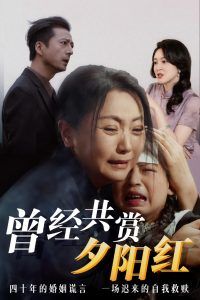 曾经共赏夕阳红(全集)