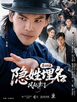 隐姓埋名风起津门(全集)