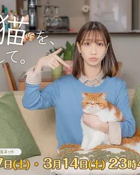 我收留了前男友的猫(全集)